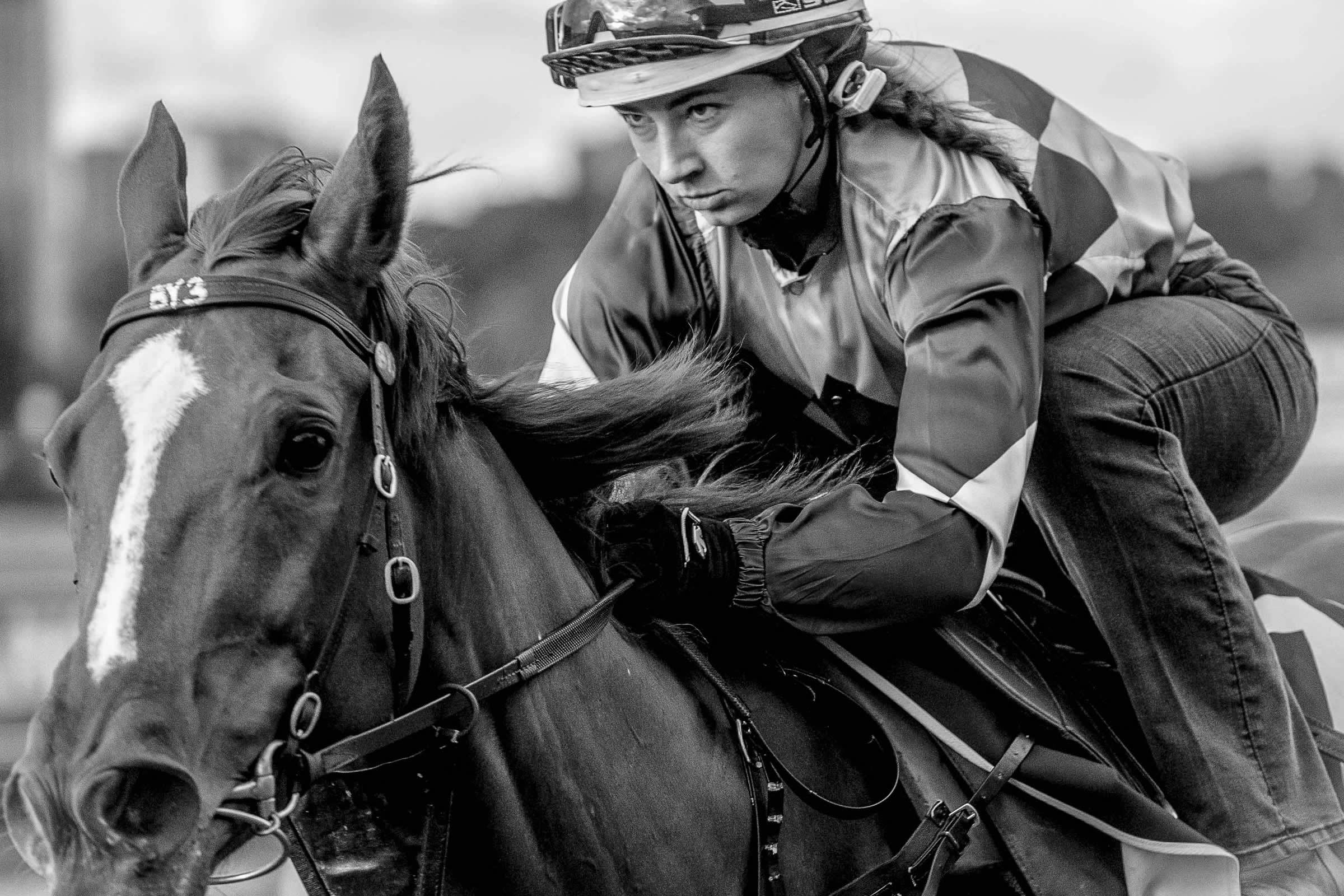 Need For Steed – Equine and event Photography